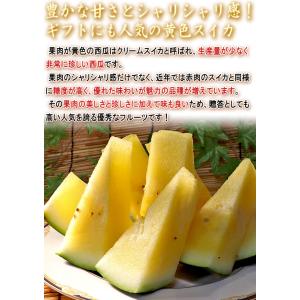 大玉クリームスイカ 約7〜9kg 1玉 千葉県...の詳細画像3