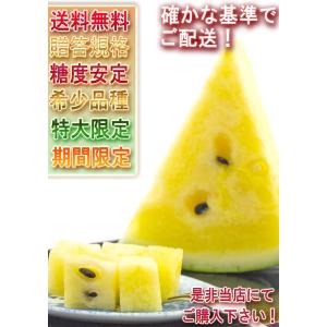 大玉クリームスイカ 約7〜9kg 1玉 千葉県...の詳細画像5