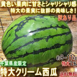バイオレットキング 赤葡萄 約1.3〜1.5kg 2房 山梨県産 贈答規格