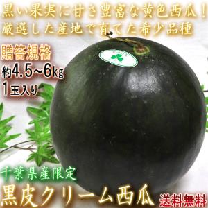 黒皮クリームスイカ 約4.5〜6kg 1玉入り 贈答規格 千葉県産 お中元に人気の希少な西瓜！黄色スイカの本場で育てた上品な甘さとシャリシャリの食感