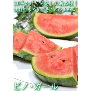 ピノ・ガール 小玉スイカ 約3〜4kg 2〜4...の詳細画像1