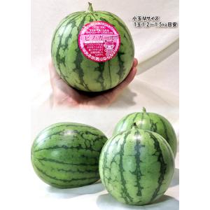 ピノ・ガール 小玉スイカ 約3〜4kg 2〜4...の詳細画像3