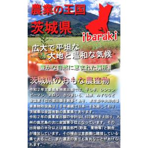 ピノ・ガール 小玉スイカ 約3〜4kg 2〜4...の詳細画像2