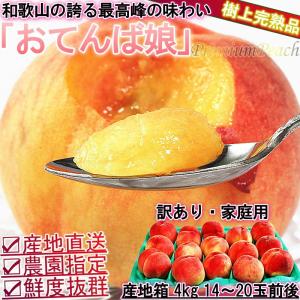 産地直送 桃 和歌山産 おてんば娘 約4kg 14〜20玉 訳あり わけあり 家庭用 日本屈指の桃産地で育てた抜群の味と鮮度！ 白桃 白鳳