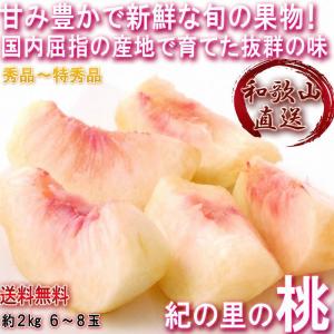 鹿児島県より産地直送 JAそお鹿児島 パッションフルーツ 2Lから3L