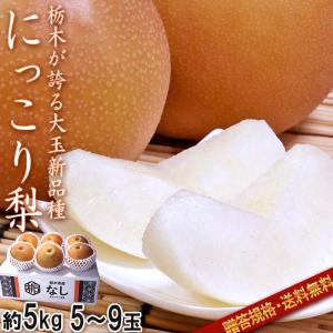 にっこり梨 約5kg 5〜9玉 贈答規格 栃木県産 大玉限定