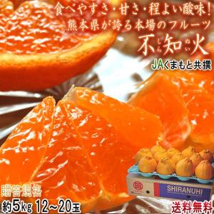 的兵みかん 和歌山産 赤秀 mサイズ 約5kg : 果物専門店 フルーツ千里