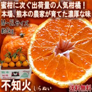 的兵みかん 和歌山産 赤秀 mサイズ 約5kg : 果物専門店 フルーツ千里