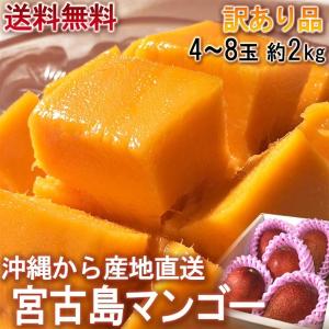 宮崎マンゴー 訳あり 約4キロ（規格外）加工用 メガ盛り クール便発送 
