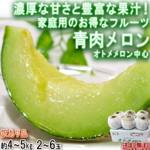 マスクメロン 赤肉限定 2玉入り 計約3kg 高知又茨城産 贈答規格 JA共撰