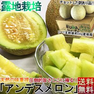 青肉メロン 約5kg 3〜7玉 訳あり品 茨城・熊本県産中心 露地栽培 アンデス・タカミ・キスミー等 家庭用 旬の味わいをお届け！