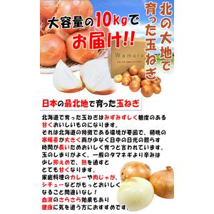 国産たまねぎ 約10kg M〜3Lサイズ 北海...の詳細画像1