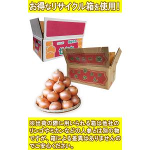 国産たまねぎ 約10kg M〜3Lサイズ 北海...の詳細画像2
