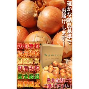 国産たまねぎ 約10kg M〜3Lサイズ 北海...の詳細画像5
