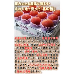 北の極 スーパーフルーツトマト 約1kg S〜...の詳細画像1