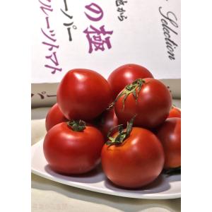 北の極 スーパーフルーツトマト 約1kg S〜...の詳細画像2