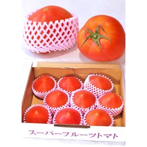 北の極 スーパーフルーツトマト 約1kg S〜...の詳細画像4