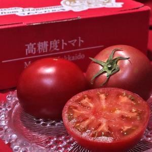 高糖度トマト 約800g M〜2Lサイズ 北海道産 贈答規格 JAながぬま 糖度保証のフルーツトマト！ジューシーな食感と濃厚な味わい