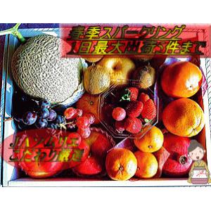 フルーツギフト 果物詰め合わせ 贈答品 大サイズ化粧箱入り ...