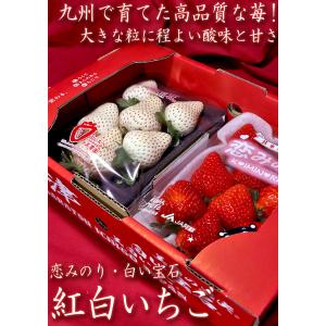 紅白いちごセット 恋みのり・白い宝石など 約2...の詳細画像1