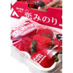 紅白いちごセット 恋みのり・白い宝石など 約2...の詳細画像4