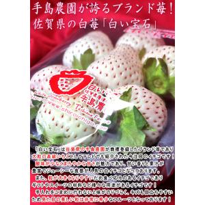紅白いちごセット 恋みのり・白い宝石など 約2...の詳細画像5