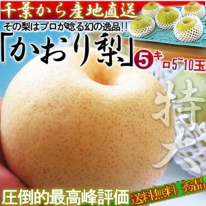 かおり梨 約5kg 5〜10玉 大玉サイズ 秀品〜優品 千葉県産 贈答可能 生産量の少ない幻の梨！爽やかな甘い香りと優秀な味わい
