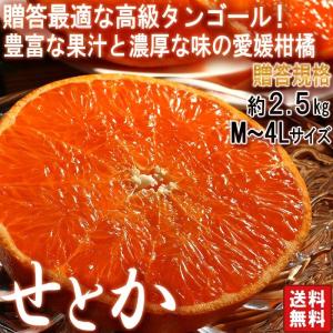 せとか 約2.5kg M〜4Lサイズ 贈答規格 愛媛県産 甘みと果汁豊かな高級ミカン！ギフト最適な愛...