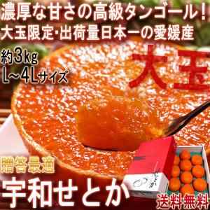 宇和せとか 約3kg L〜4Lサイズ 愛媛県産 大玉限定 JAえひめ南 贈答品 宇和島で育てた抜群の味！大玉・高糖度のギフトフルーツ