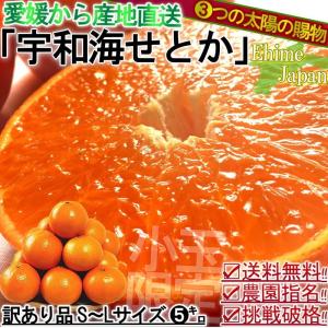 産地直送 せとか みかん 宇和海 訳あり 約5kg S〜Lサイズ 愛媛県産 西宇和・愛媛中央など産地厳選！鮮度抜群の高級柑橘をサイズ混合・家庭用特価でお届け