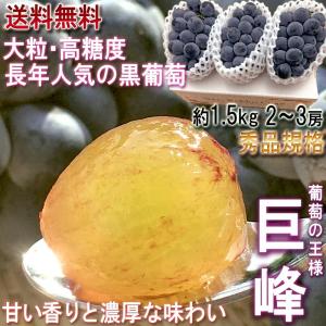 山梨産種なし「巨峰」ぶどう3kg（約6房） : 山の廻船問屋 - 通販