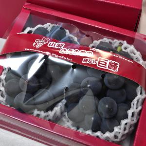●お中元 2020 ギフト 巨峰 山梨ぶどう 約1kg 2房入り 贈答品 JA共撰品 化粧箱入り