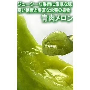 青肉メロン 2〜3玉 訳あり 産地厳選 茨城県...の詳細画像1
