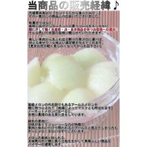 青肉メロン 2〜3玉 訳あり 産地厳選 茨城県...の詳細画像2