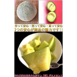 青肉メロン 2〜3玉 訳あり 産地厳選 茨城県...の詳細画像3