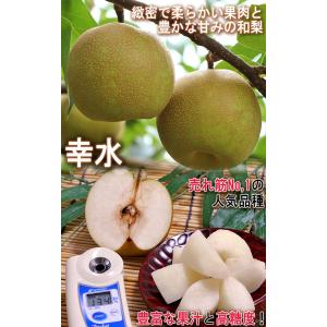 【大玉厳選・早期出荷!】千葉梨 幸水 一番果 ...の詳細画像4