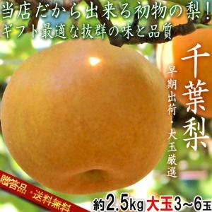 【大玉厳選・早期出荷！】千葉梨 幸水 一番果 約2.5kg 3〜6玉 千葉県産 贈答規格 和梨 秀〜優品 ナシの出荷量全国一位の千葉でも非常に希少な初物の大玉梨！