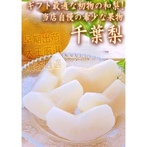 【大玉厳選・早期出荷!】千葉梨 幸水 一番果 ...の詳細画像1