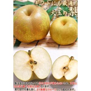 【大玉厳選・早期出荷!】千葉梨 幸水 一番果 ...の詳細画像3