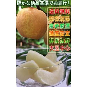 【お盆前出荷!】幸水 和梨 約5kg 9〜16...の詳細画像4