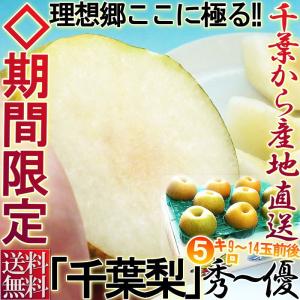 千葉梨 幸水 豊水 あきづき 新高 南水 にっこり 5kg 9〜14玉前後 贈答規格 大玉限定 秀品〜優品 白井・市川・船橋など千葉の厳選産地で育てた抜群の味！