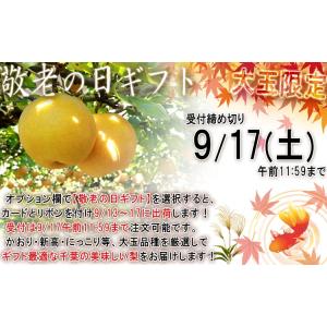 千葉梨 幸水 豊水 あきづき 新高 南水 にっ...の詳細画像1
