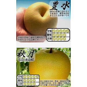 千葉梨 幸水 豊水 あきづき 新高 南水 にっ...の詳細画像5