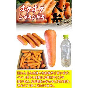 にんじん 訳あり 10kg 加工用品 千葉県産...の詳細画像1