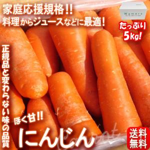 にんじん 訳あり 5kg 加工用品 千葉県産中心 厳選産地 お得なリサイクル箱使用 人参 お料理からジュースまで使える家庭用ニンジン！｜wamers