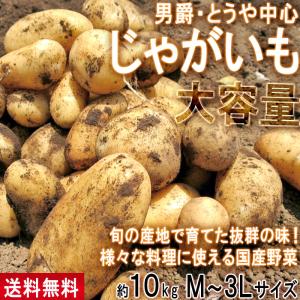 じゃがいも 男爵・とうや中心 約10kg M〜3Lサイズ 千葉・茨城産等 大容量 様々なお料理に使えるお得な国産野菜！「時期により栽培適地が変わる為に産地厳選」