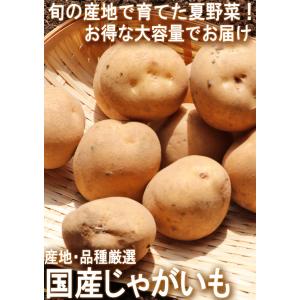 じゃがいも 男爵・とうや中心 約10kg M〜...の詳細画像1