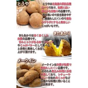 じゃがいも 男爵・とうや中心 約10kg M〜...の詳細画像3