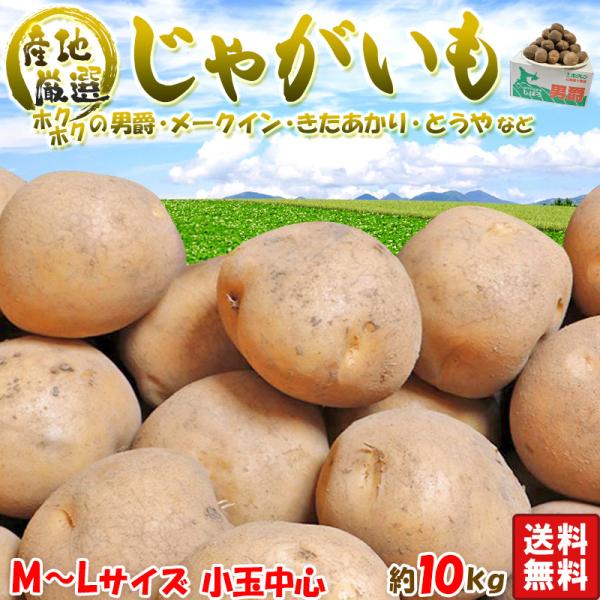 厳選国産じゃがいも 約10kg M〜Lサイズ 訳あり 国産  日本全国より旬のジャガイモをお届け！ ...