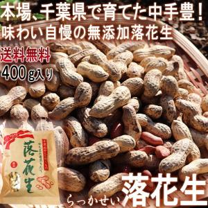 落花生 無添加らっかせい 中手豊 400g 千葉県・八街市産
